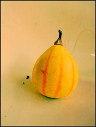 新沂探店吃瓜,瓜果飘香，美食地图大揭秘  第1张