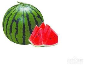 南阳红星吃瓜事件,一场网络热议背后的真相揭秘  第2张