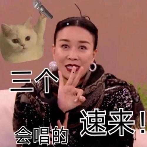 吃瓜太守,揭秘官场背后的瓜田传奇