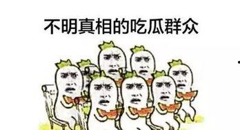 吃瓜安静,揭秘娱乐圈背后的宁静岁月