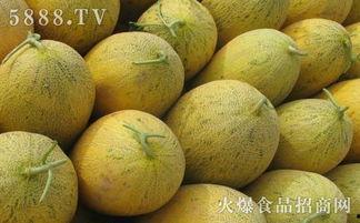 哈密瓜月子可以吃,哈密瓜的营养美味与适宜食用指南  第3张
