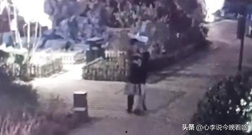 阿姨吃瓜完整视频播放,趣味横生的夏日午后时光  第2张