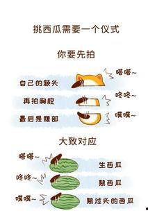 拒绝当吃瓜群众的作文,成为有担当的吃瓜群众